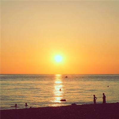 IM体育官方网站