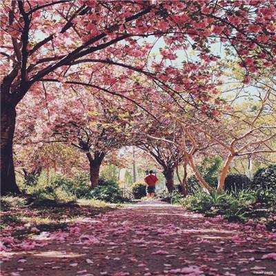 麻将胡了模拟器下载