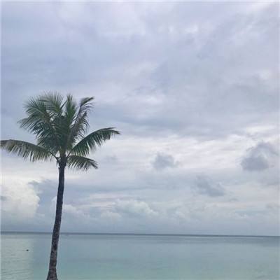 完美365体育ios下载