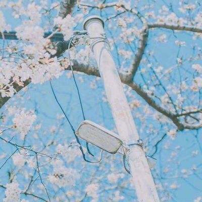 澳门银银河官方网welcomeapp下载