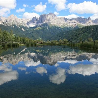 im电竞app下载截图